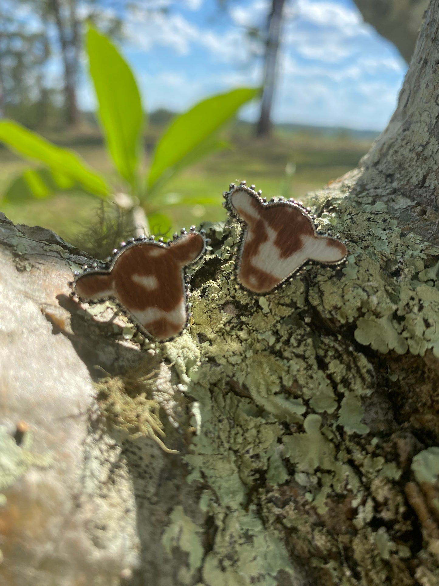 Cow Head Studs Cowhide Pattern~ Brown & White